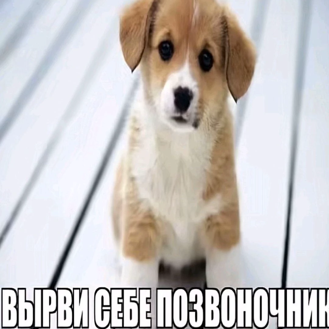 Рэнди