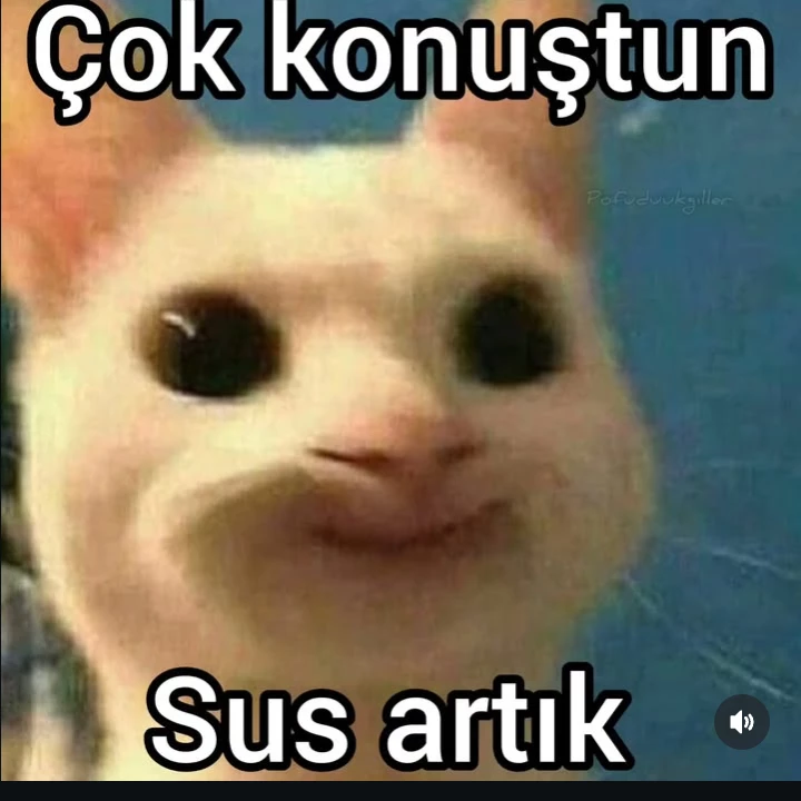 Çok konuştun sus artık