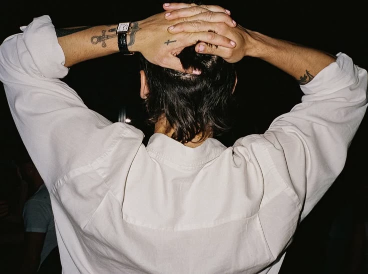 Harry styles  2025 thumbnail