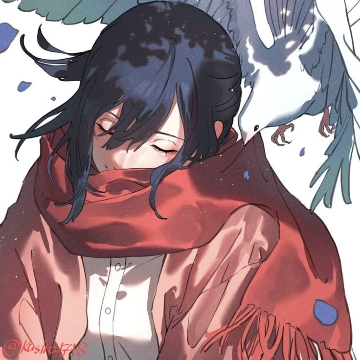 Mikasa 