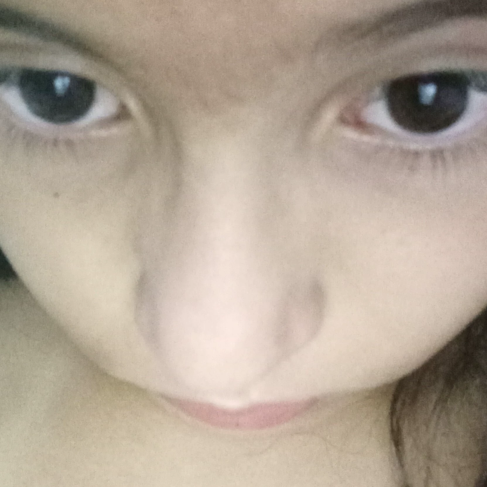 NIXOLL 
