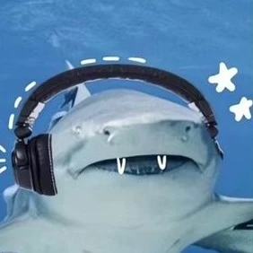 Silly Shark Tablet