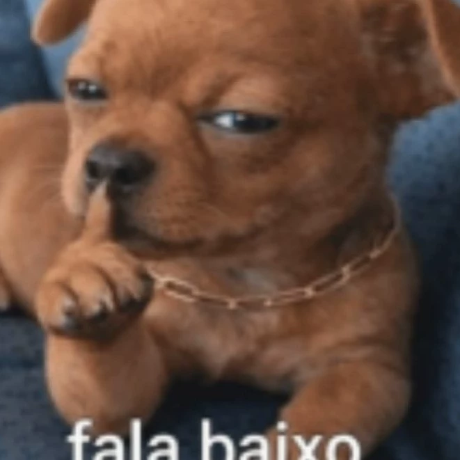 •Pau_no_cu•