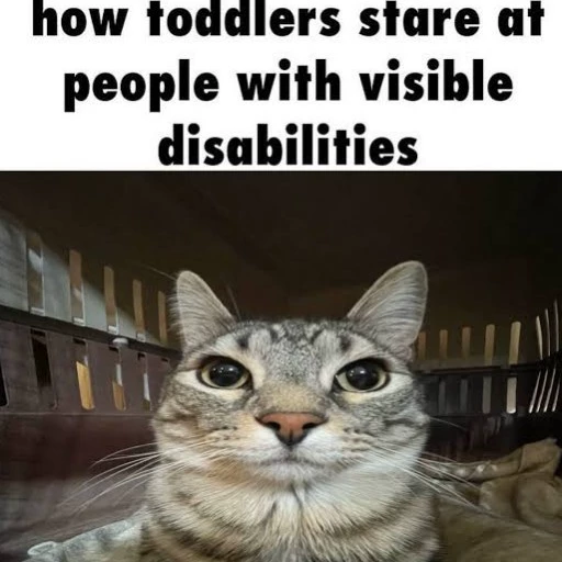 D4nnySc4rz_N0v4Pr0