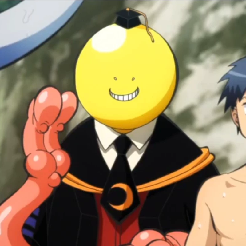 Fin