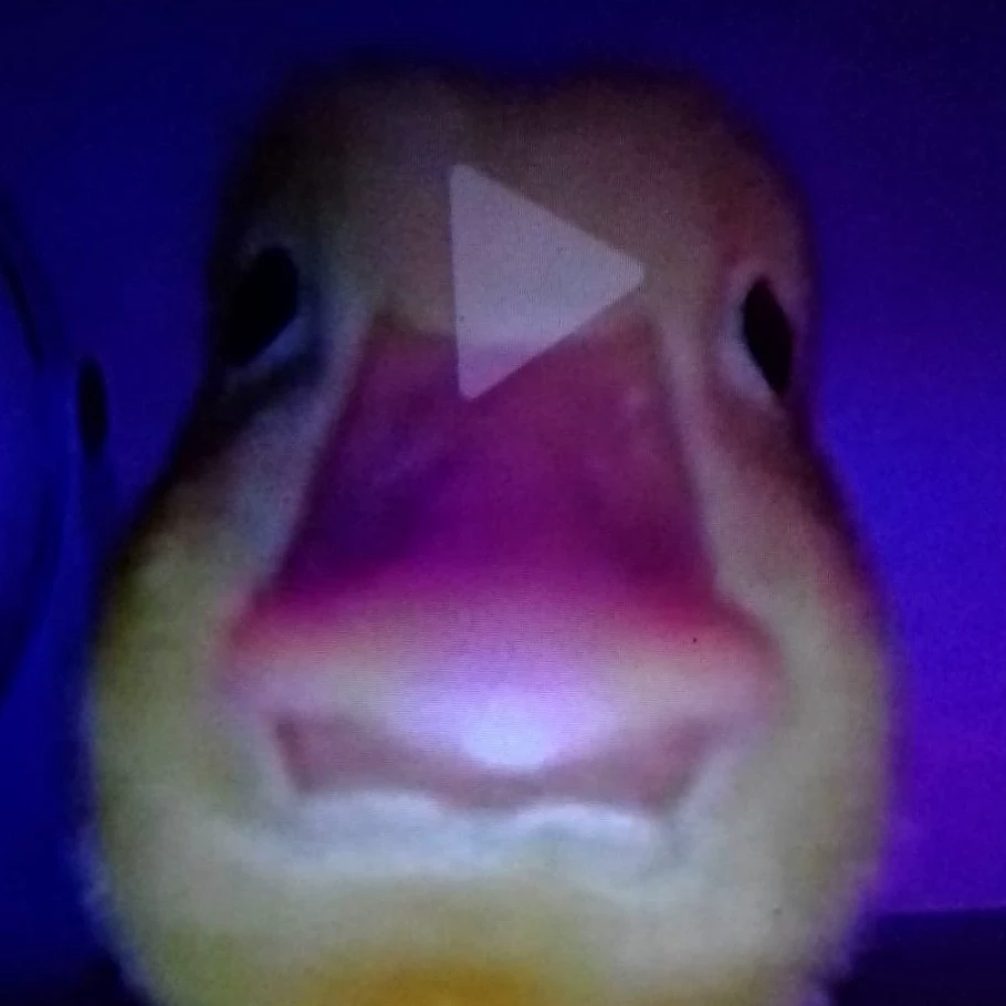 Foxinnie