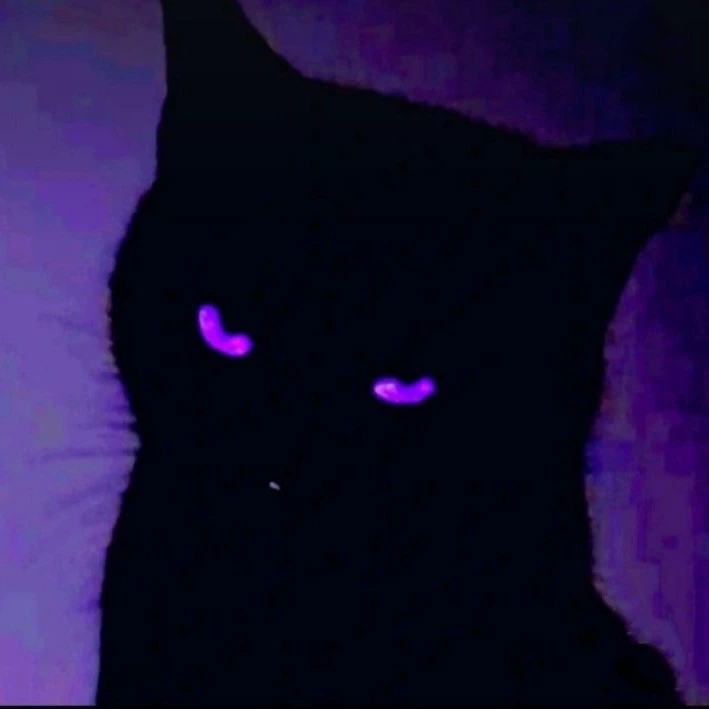 «♡𝒾𝓋𝓎♡»