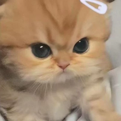 Китти