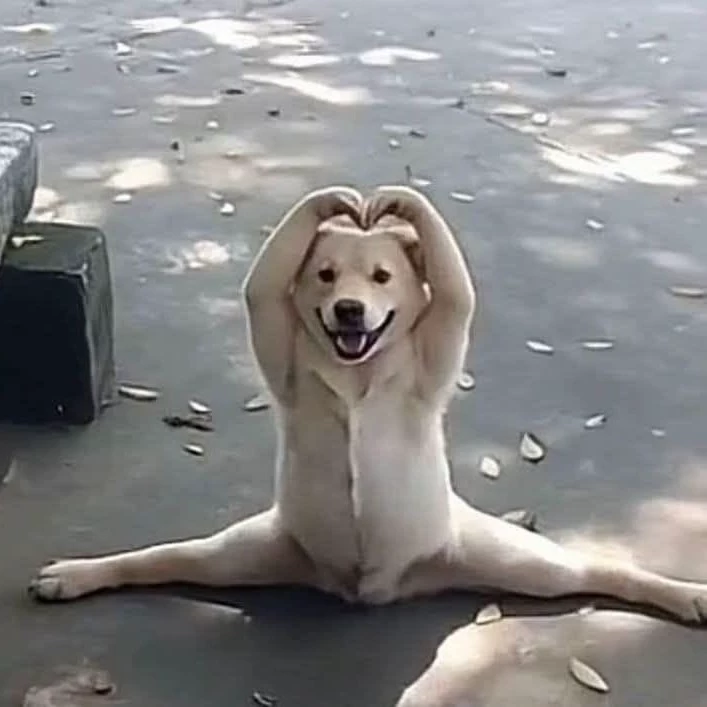 Miya