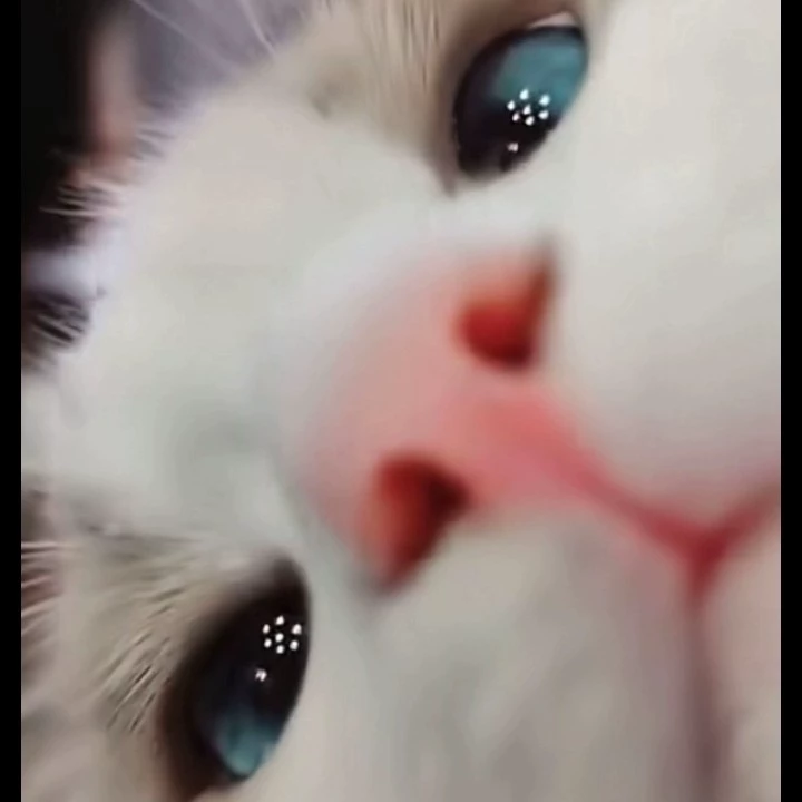 Ale*