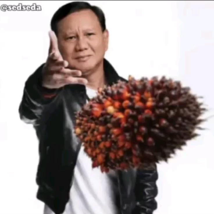 sawit lu gimana? aman?