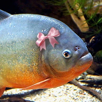CherishedPiranha