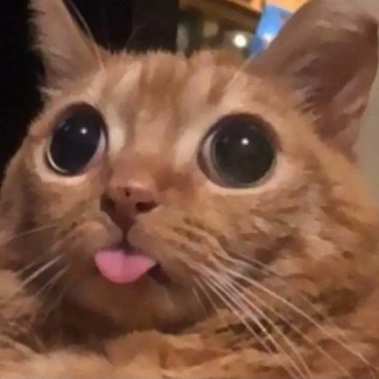 SpicyPumpkin