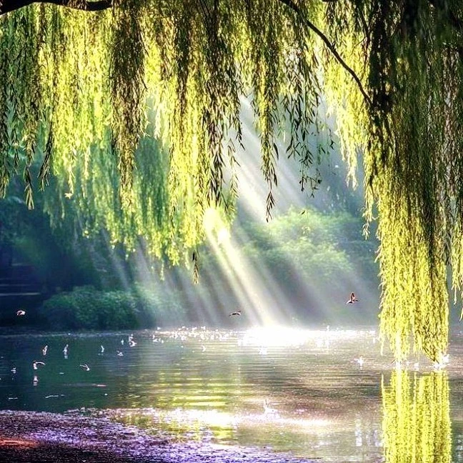 𝒞ℴ𝓂𝒾𝒸