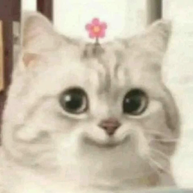 potato