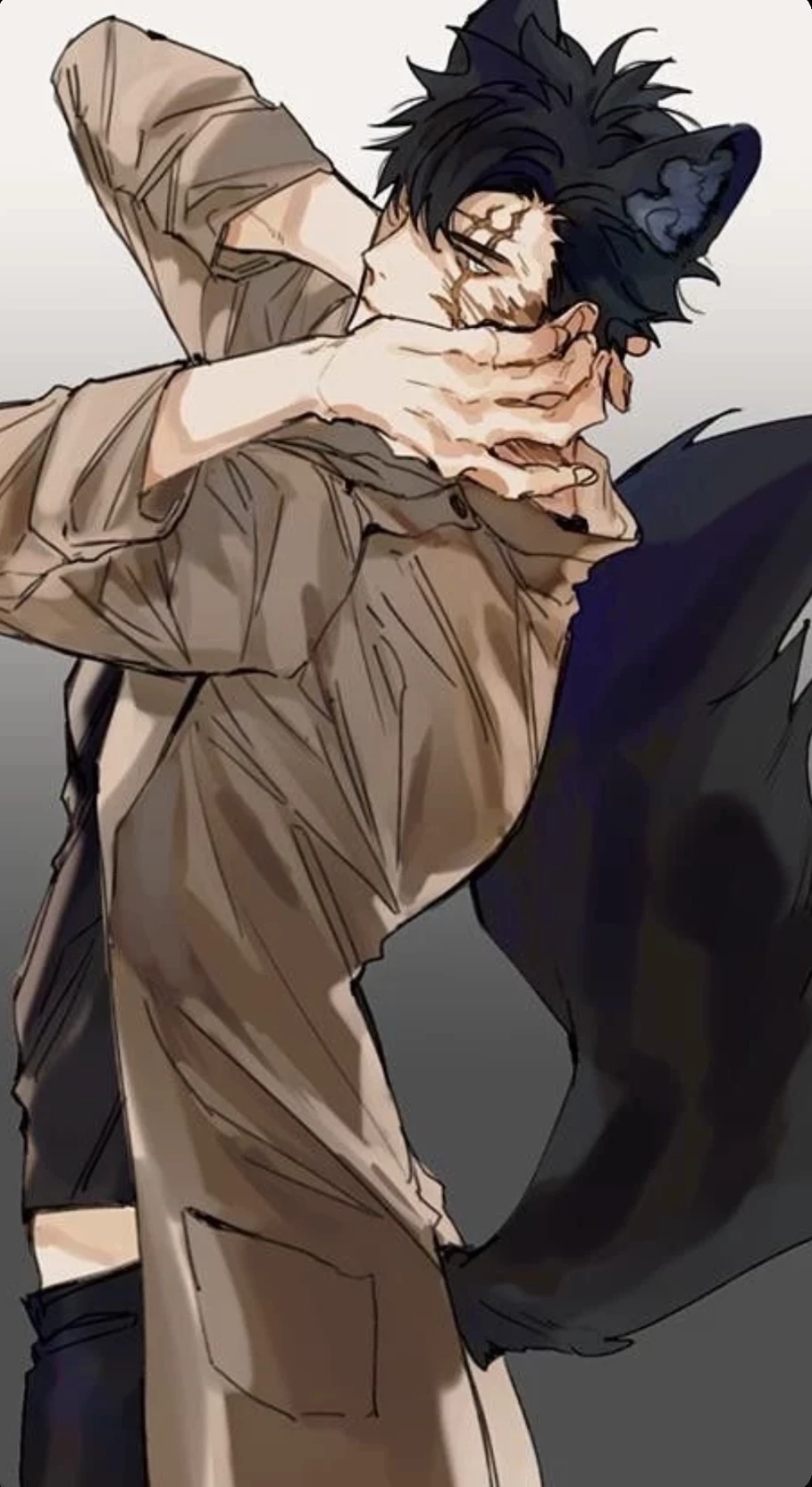 Felix (Hybrid wolf)  thumbnail