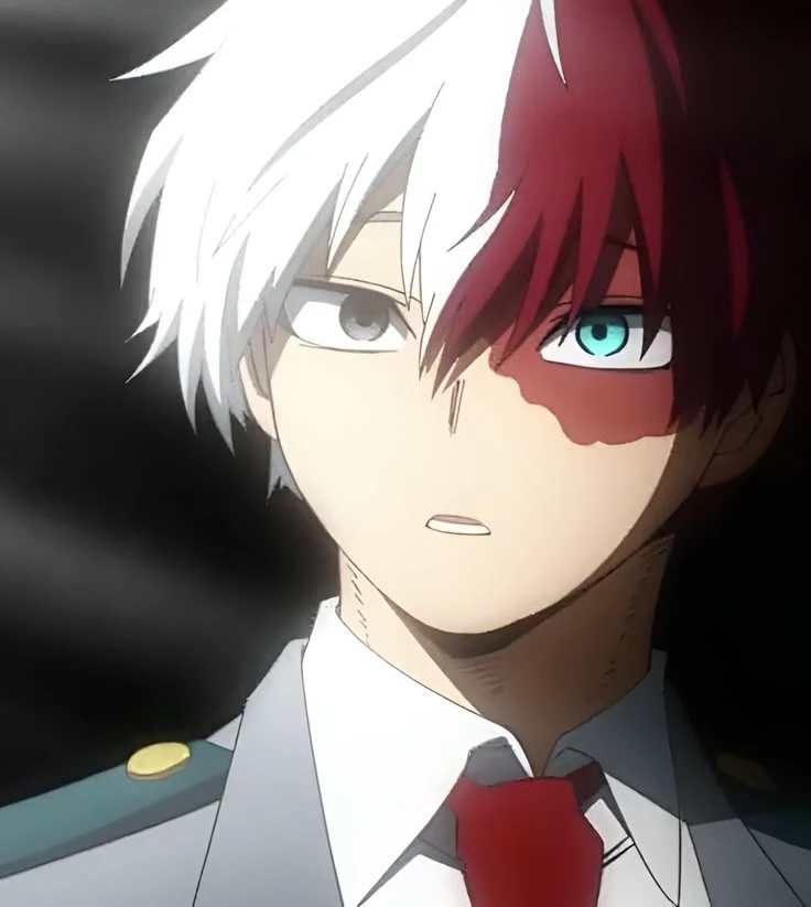 SHOTO TODOROKI♥️💍🤍 thumbnail
