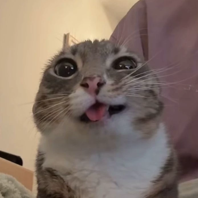 mubi