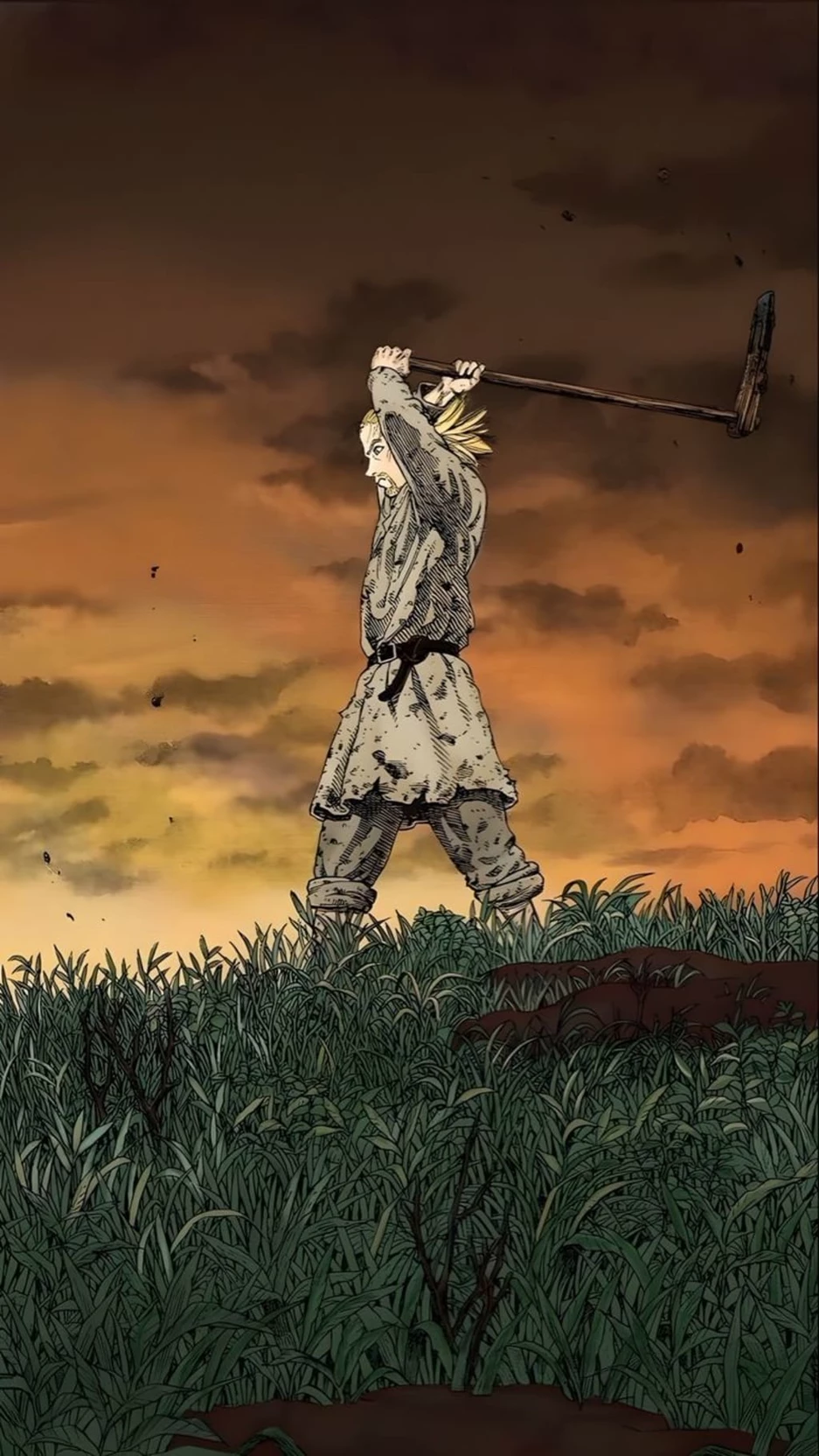 Thorfinn thumbnail