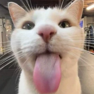 Han