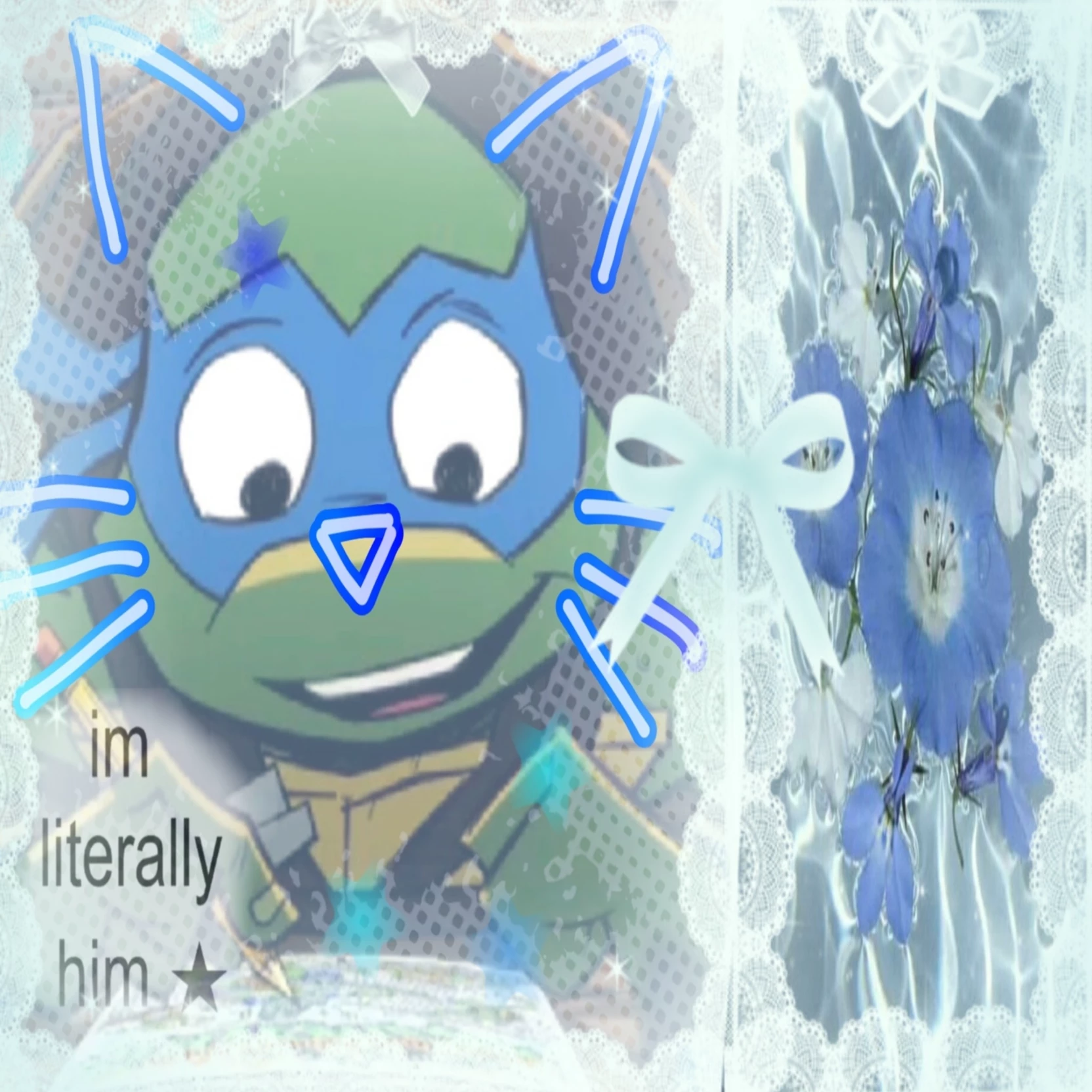 xpl_Turtles!!! 
