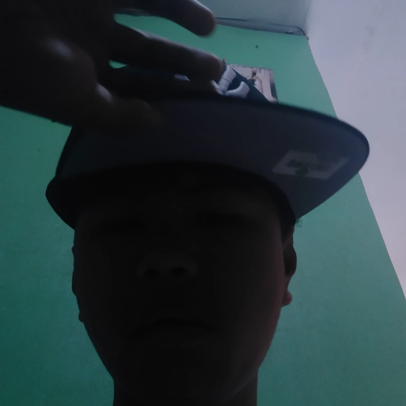 Yanagin