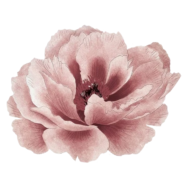 Vel