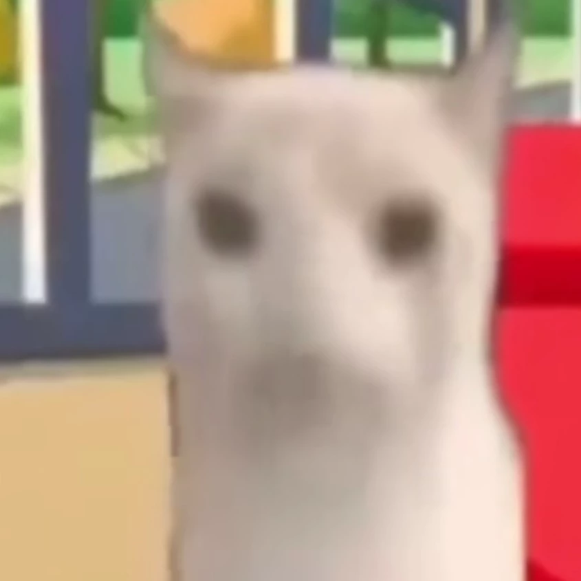 Cat :3