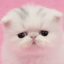 Лерочка