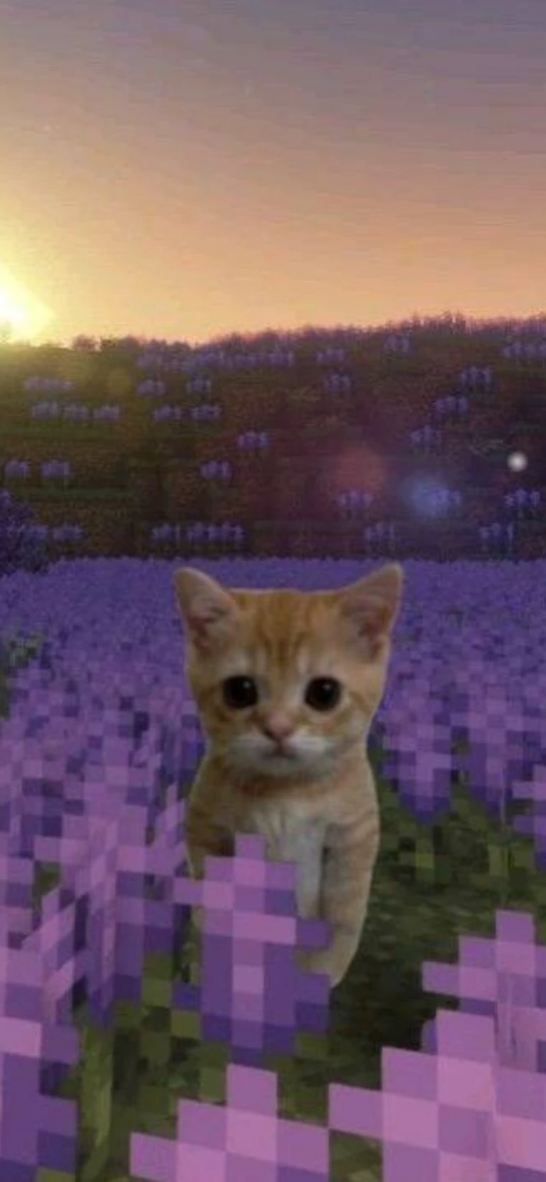 Нэми