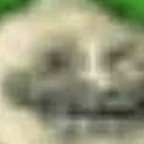 cebolla troll