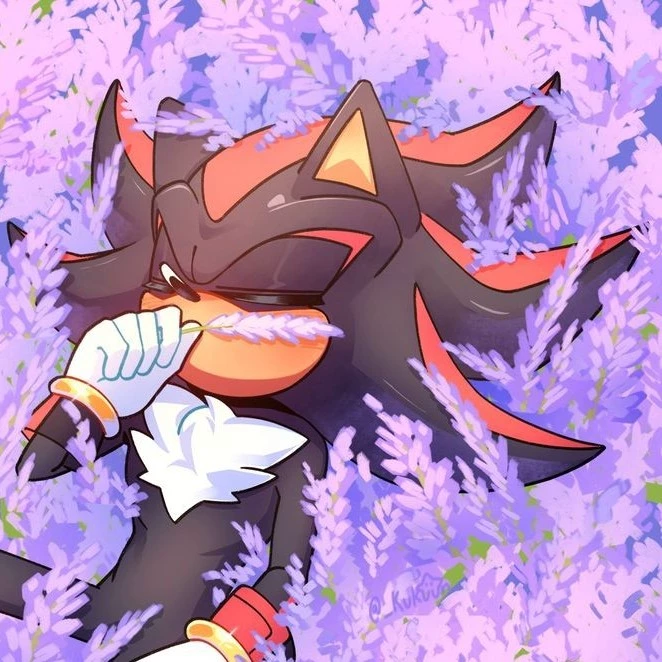 ★Nyanathehusky★