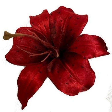 floryn