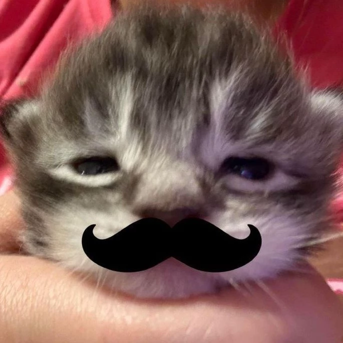 𝙹𝙴𝙽𝙽𝙸𝙴 🀥