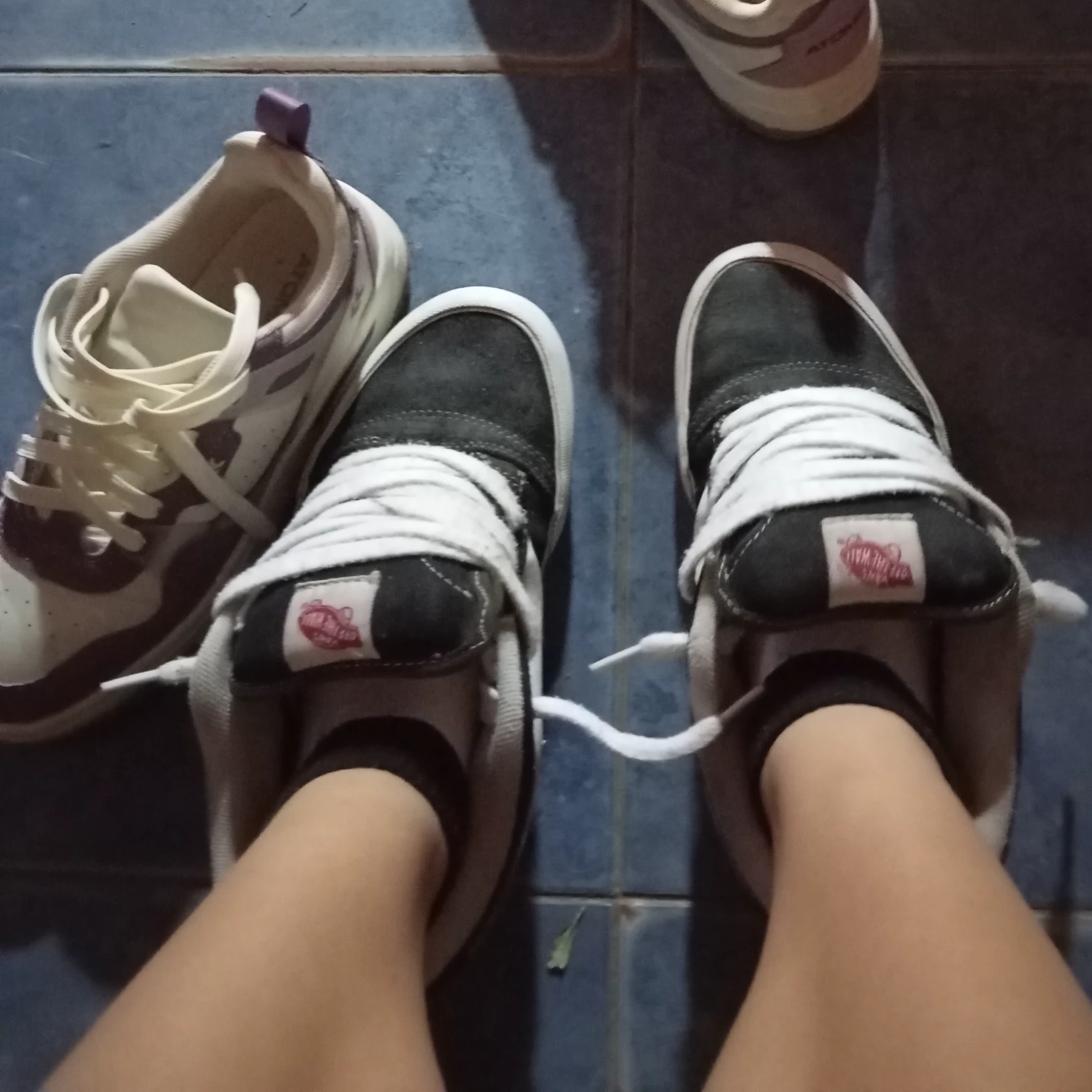 Aniitaa