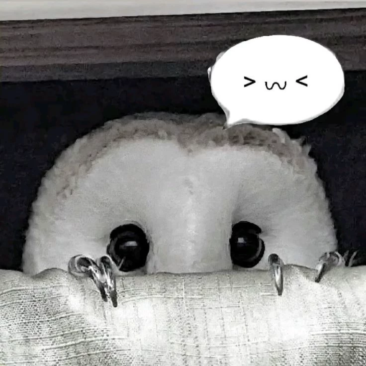 Komeko