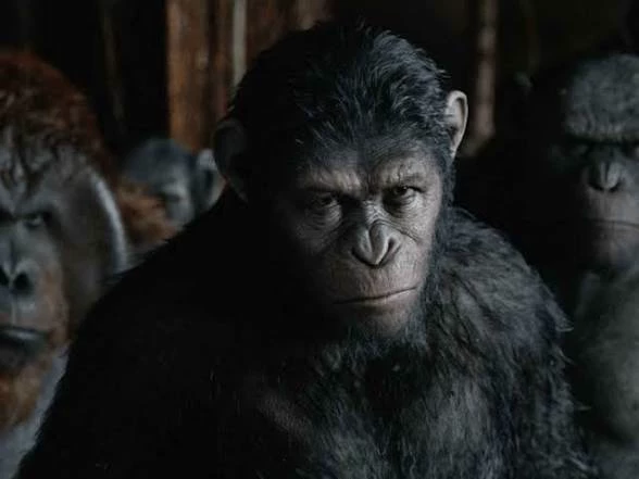 Caesar V.3 (Chimpanzee)🙈 \[@any\_ony\] thumbnail