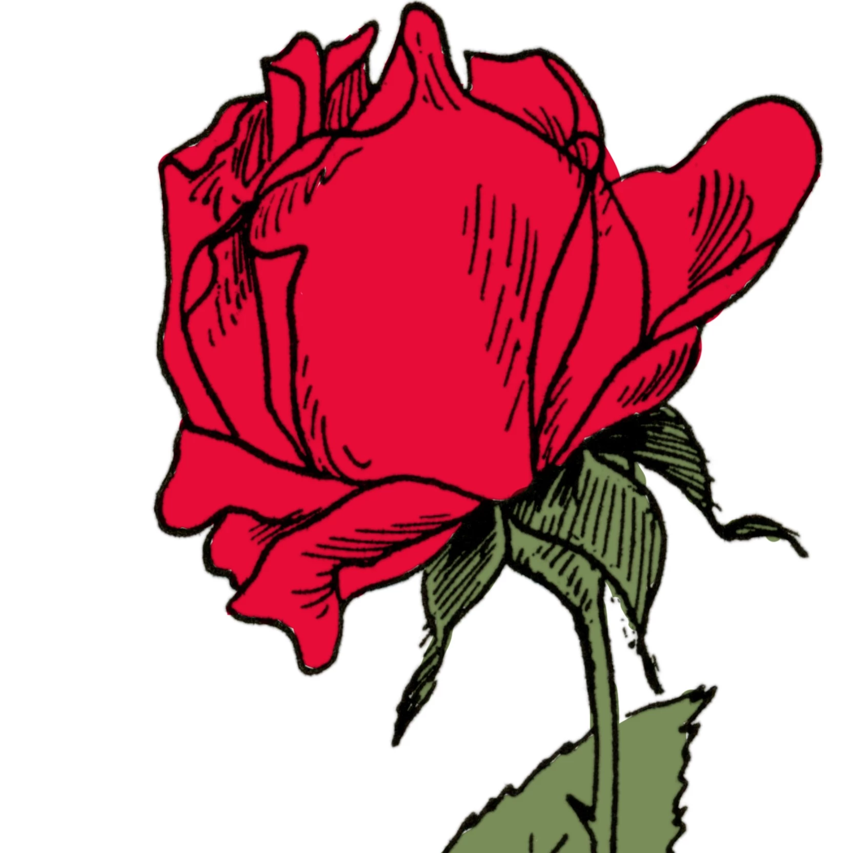 Poisoned_Rose