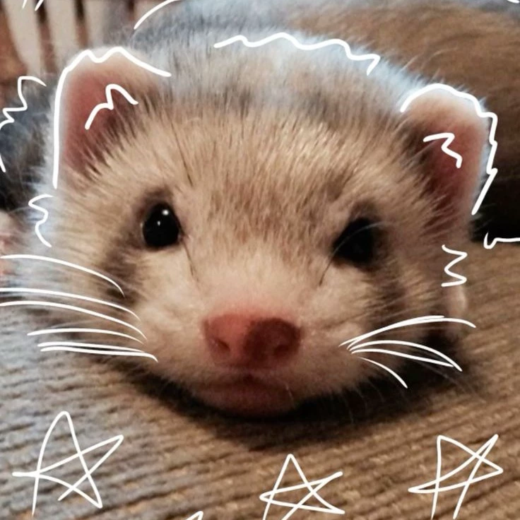 Mia
