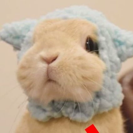 Min