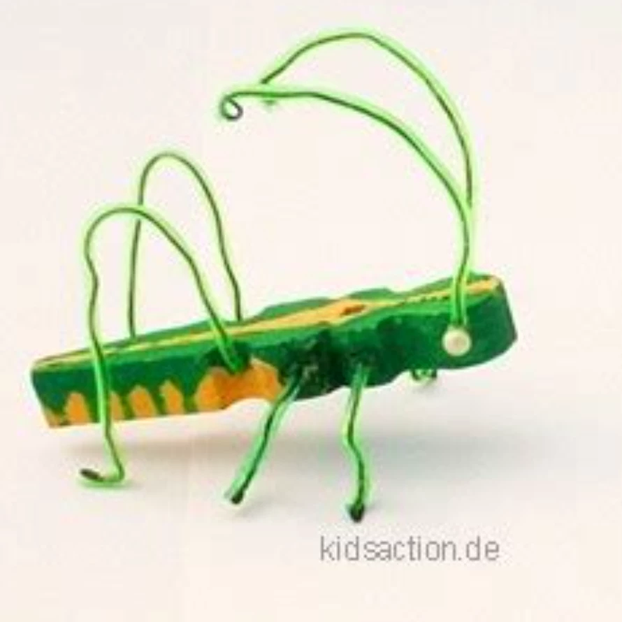 Cricket 🦗