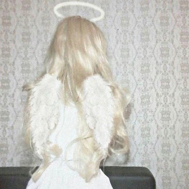 Angel 🪽
