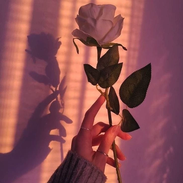 𝓛.𝓙