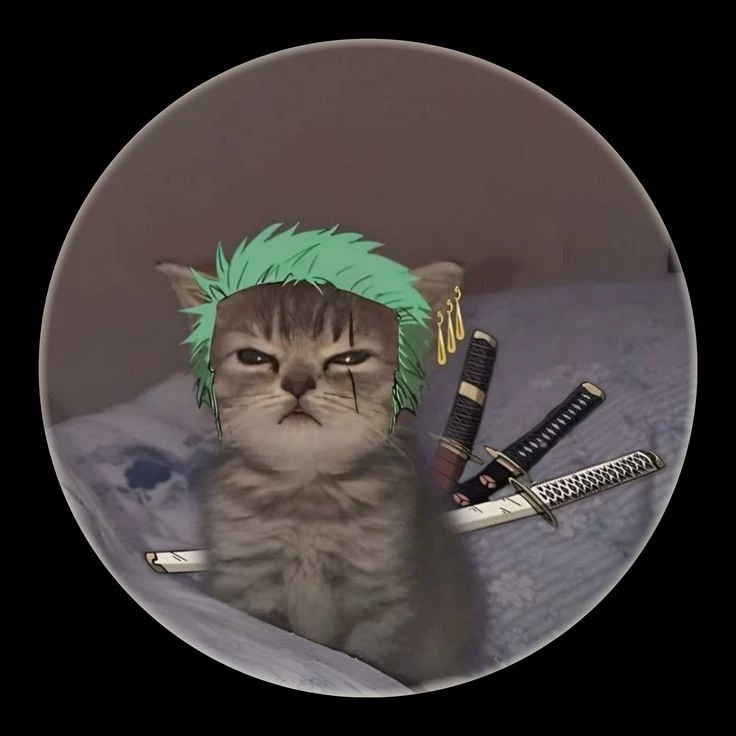 Hoshi