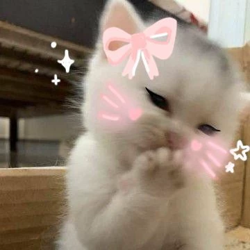 BunnyBubbles🐰✨