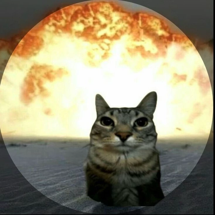 Чеси