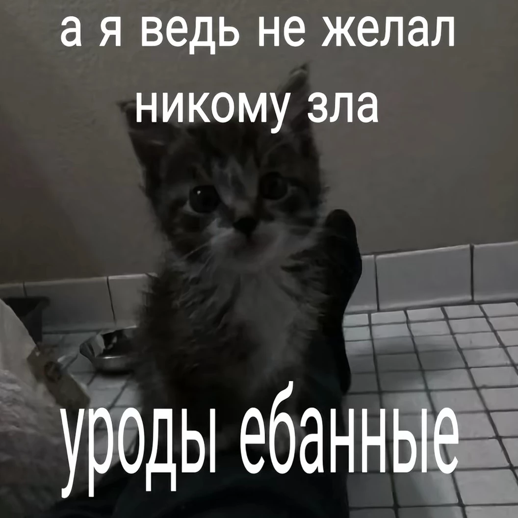 Мидори