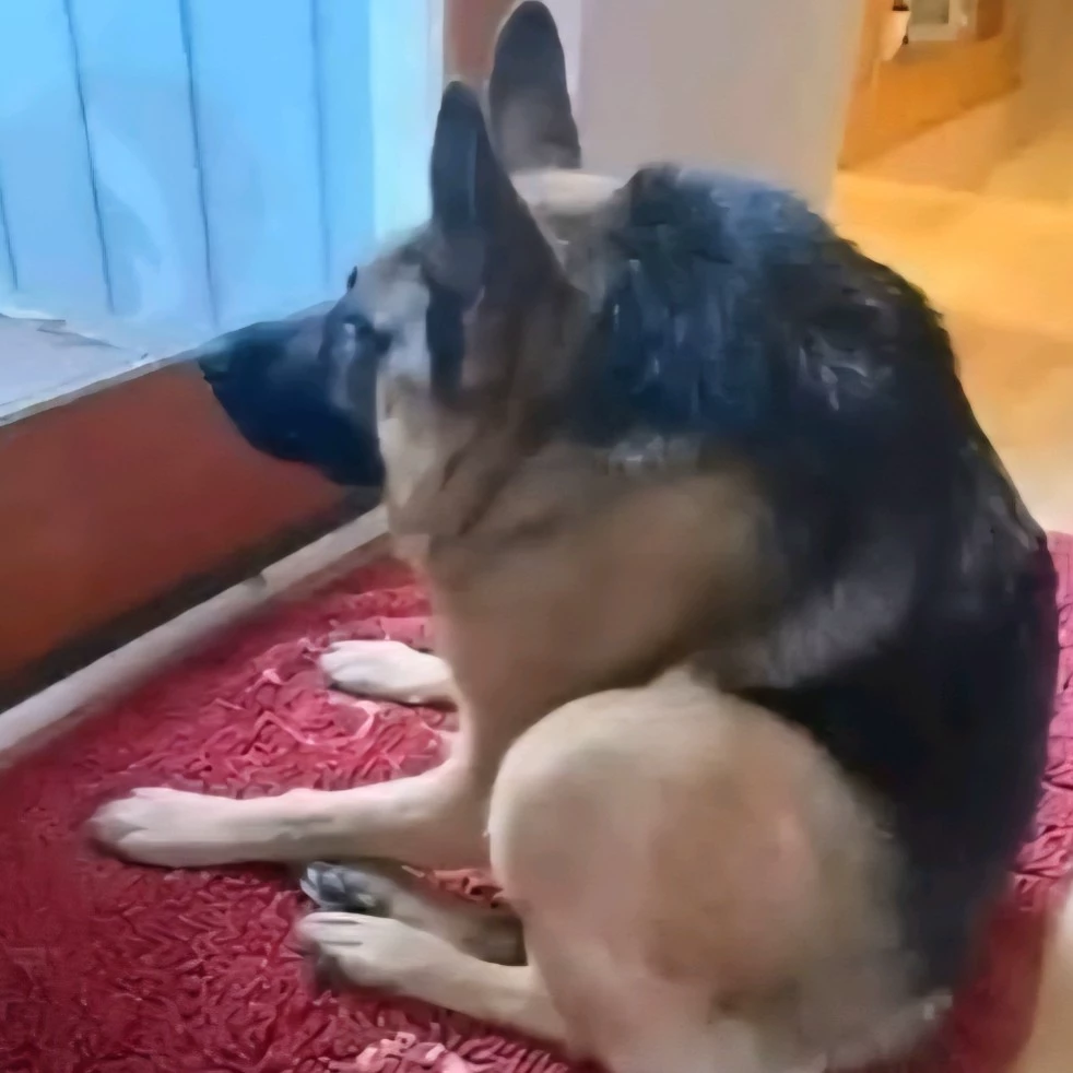 Kiari