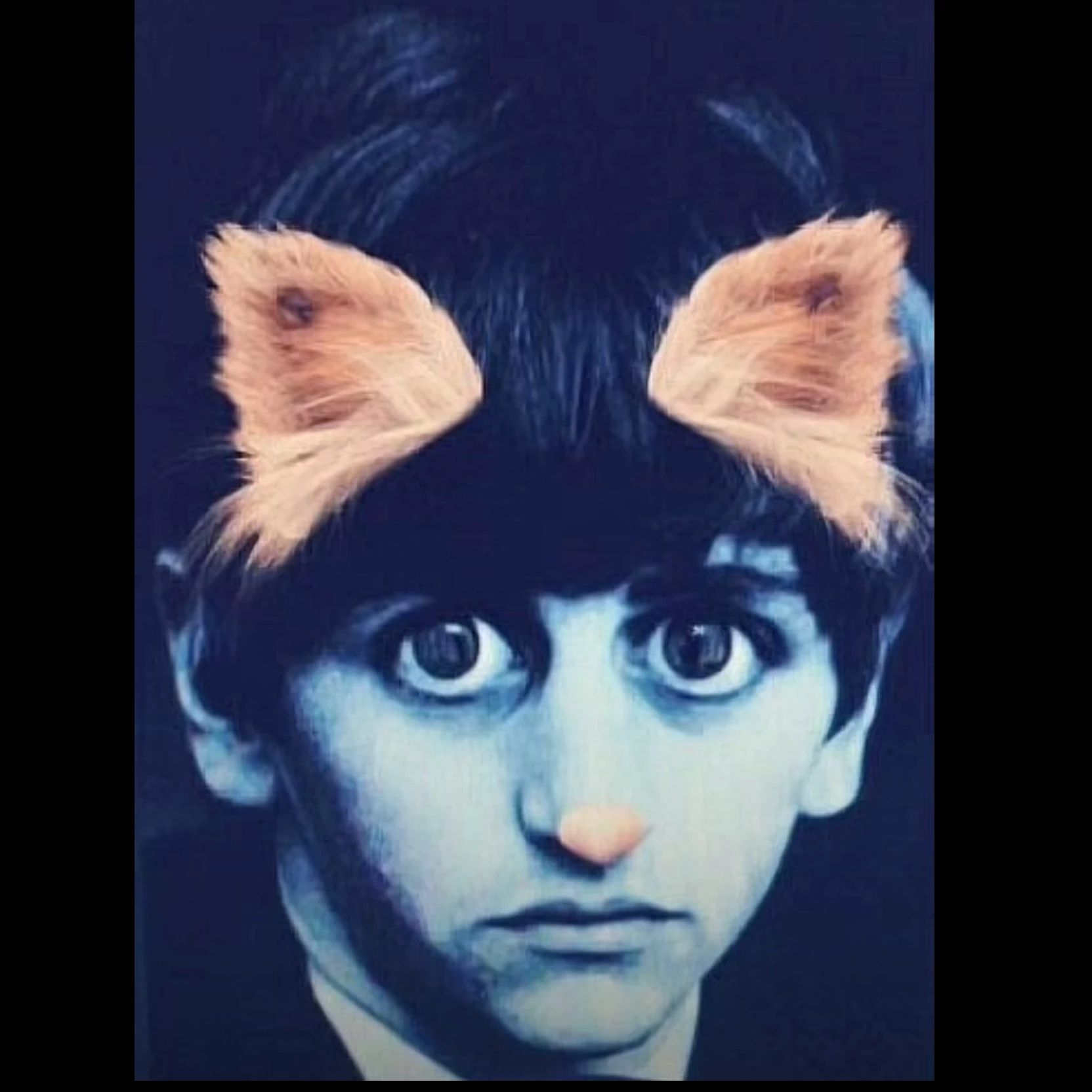 weluvthebeatles