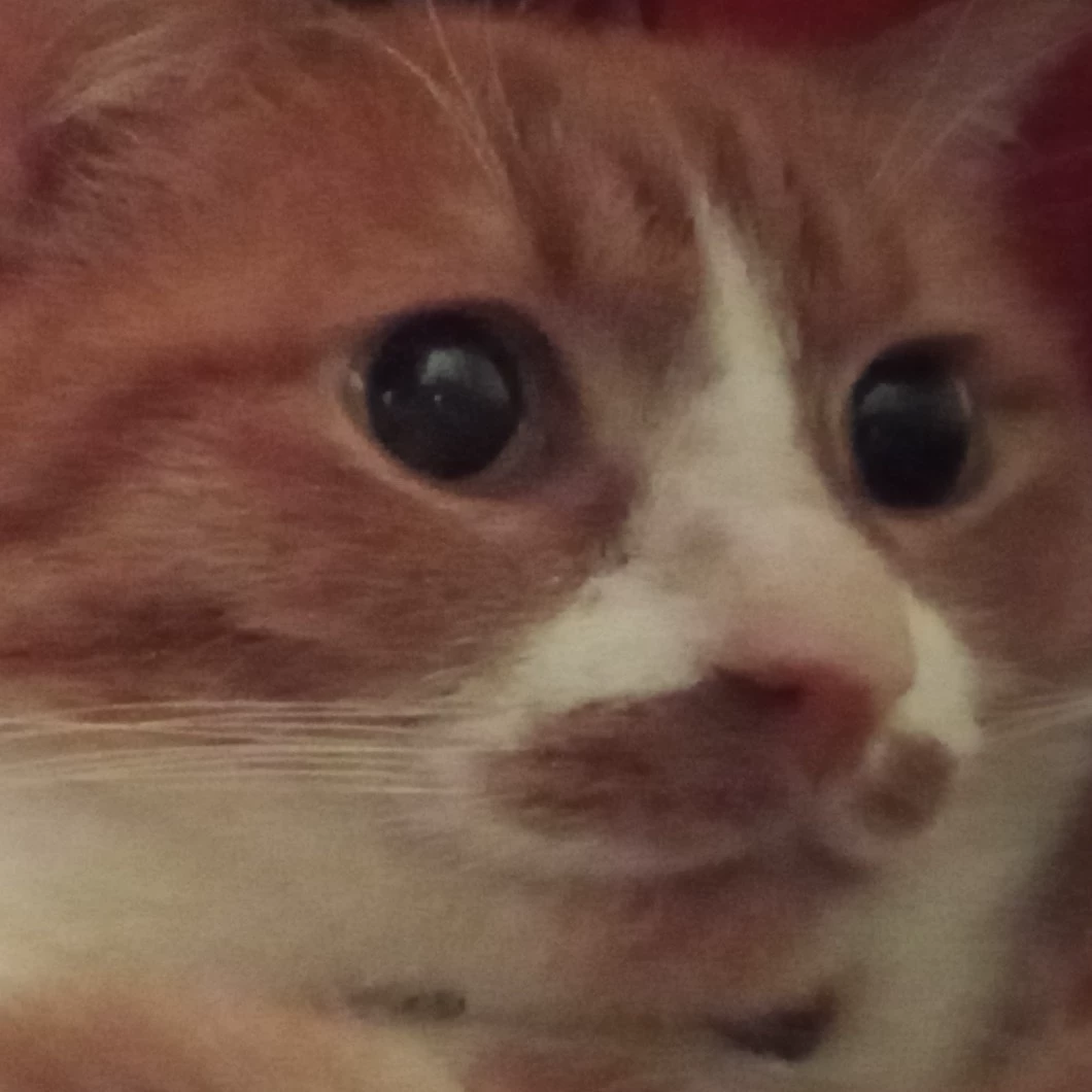 Char